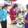 tailok 22